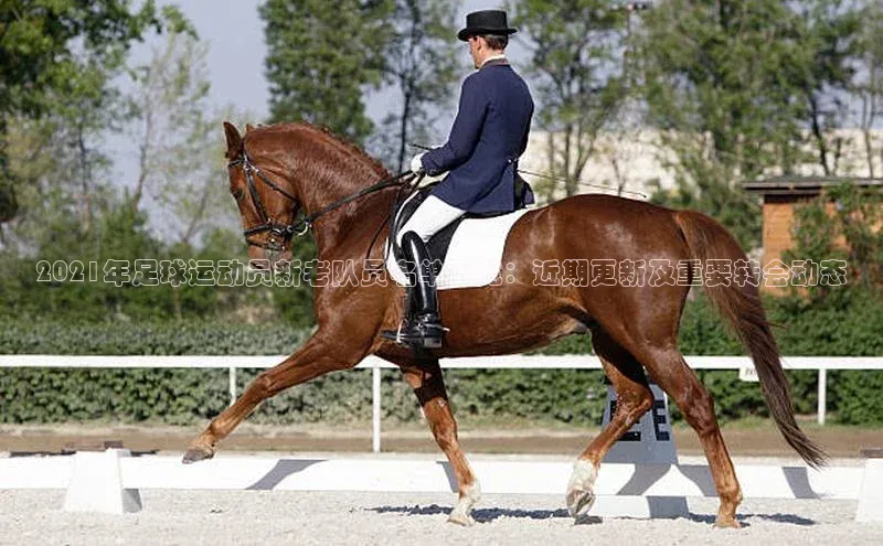 非凡电子游戏平台慧博云通2021年足球运动员新老队员名单一览：近期更新及重要转会动态