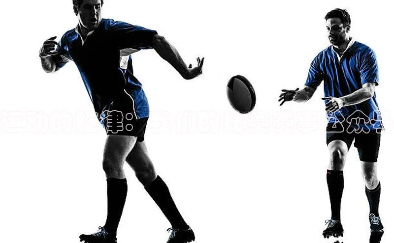 非凡体育百度教育运动的旋律：我们的比赛赛事公众号