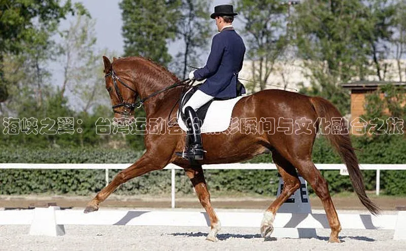 非凡体育中海达海峡之翼：台湾运动会的精彩瞬间与文化融合之旅