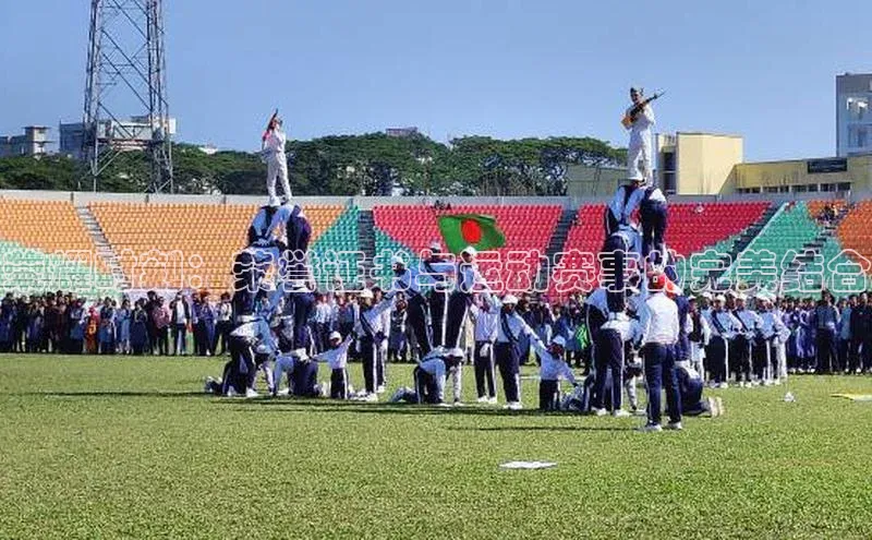 荣耀时刻：荣誉证书与运动赛事的完美结合