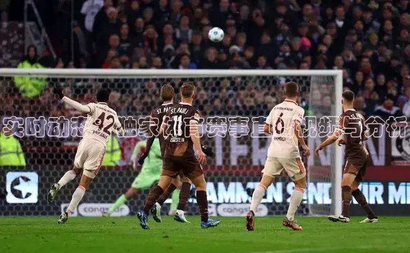 实时动态：独家体育赛事直播视频与分析