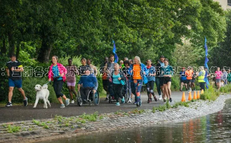 ：当前各大国际运动赛事的最新动态与热门焦点