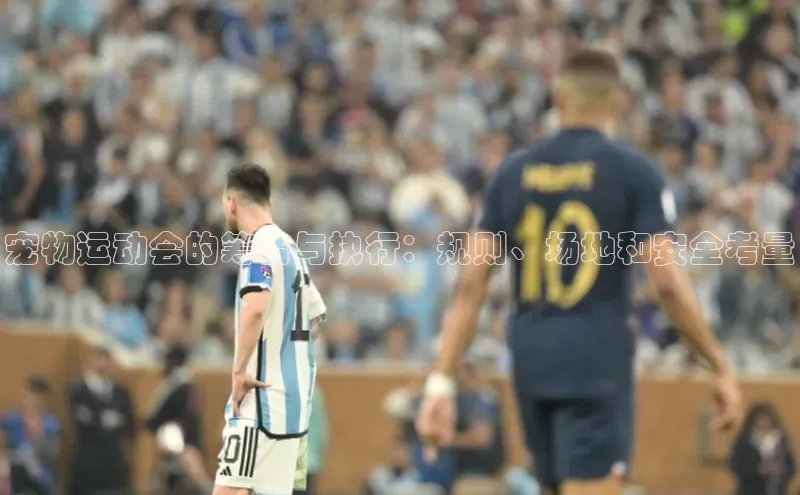 宠物运动会的筹备与执行：规则、场地和安全考量