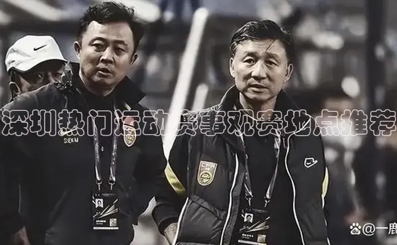 深圳热门运动赛事观赛地点推荐