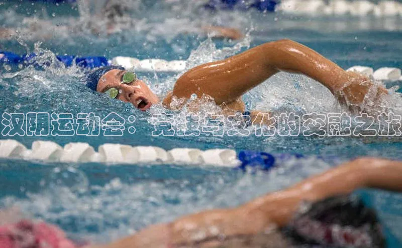 汉阴运动会：竞技与文化的交融之旅