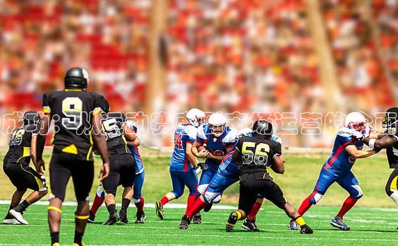 非凡体育2121app官网版