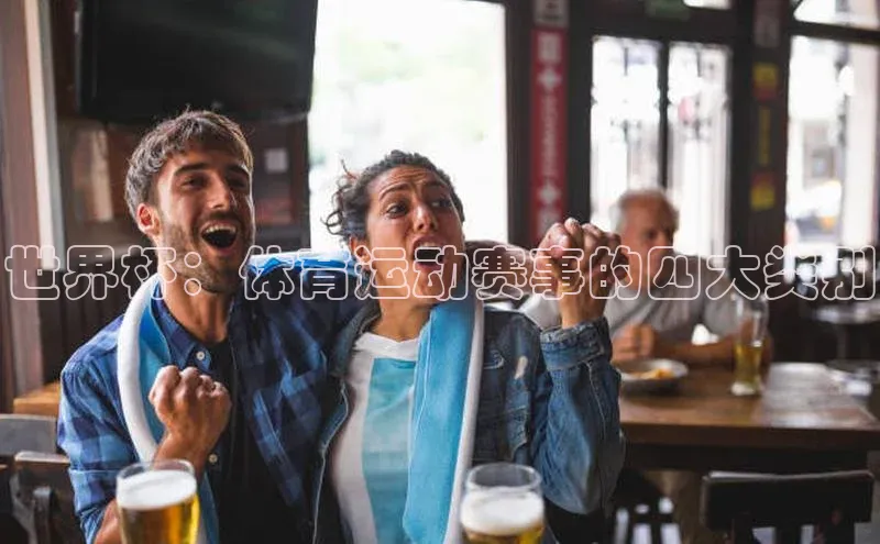 世界杯：体育运动赛事的四大类别