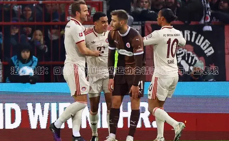 活力四射：回顾2023山东省运动会精彩瞬间与卓越表现